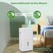 GCZ deshumidificador 22L/día con drenaje continuo y temporizador para hogar y oficina